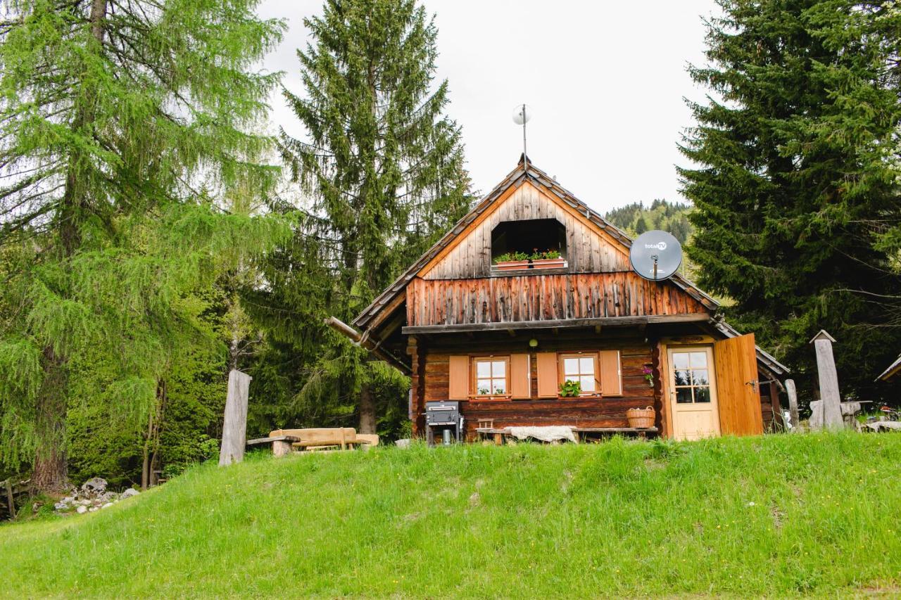 הוילה בוהין Wood House Irena-Pocitniska Hisa מראה חיצוני תמונה